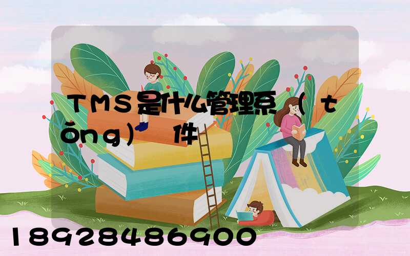 TMS是什么管理系統(tǒng)軟件