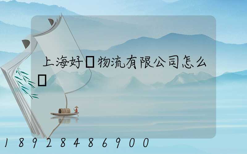 上海好運物流有限公司怎么樣