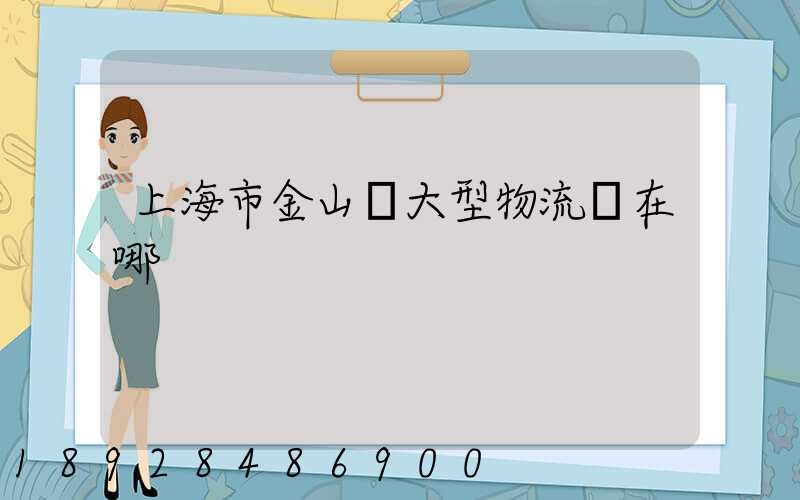 上海市金山區大型物流園在哪