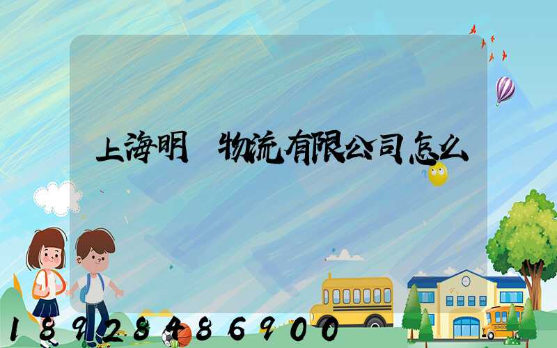 上海明眾物流有限公司怎么樣