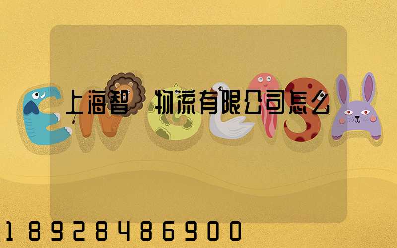 上海智寶物流有限公司怎么樣