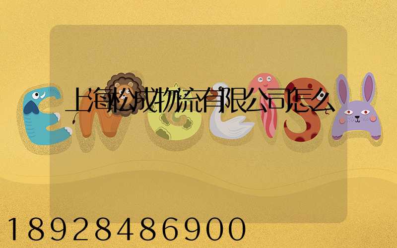 上海松成物流有限公司怎么樣
