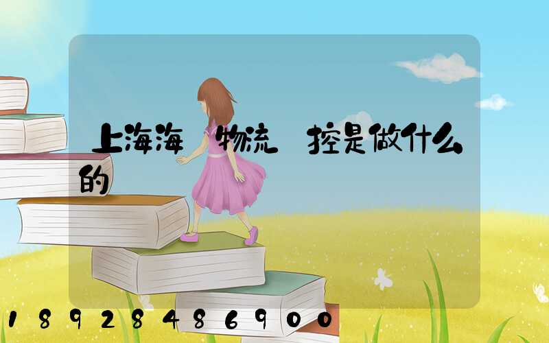 上海海關物流監控是做什么的