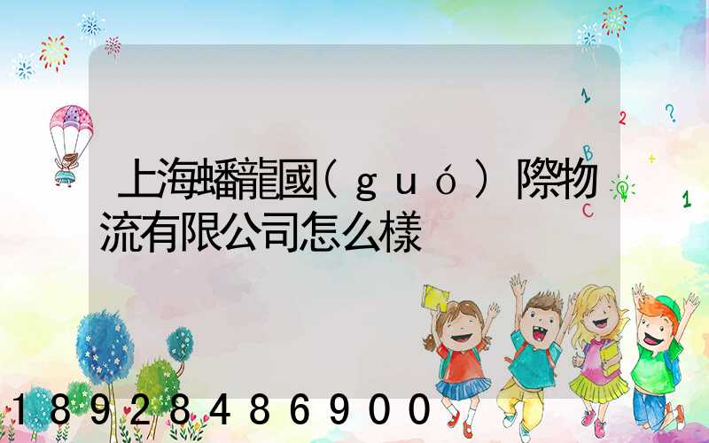 上海蟠龍國(guó)際物流有限公司怎么樣