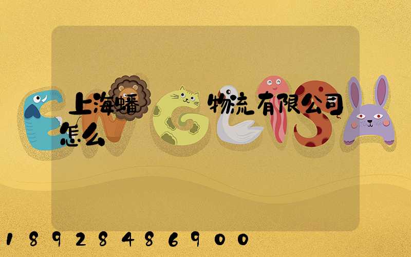 上海蟠龍國際物流有限公司怎么樣