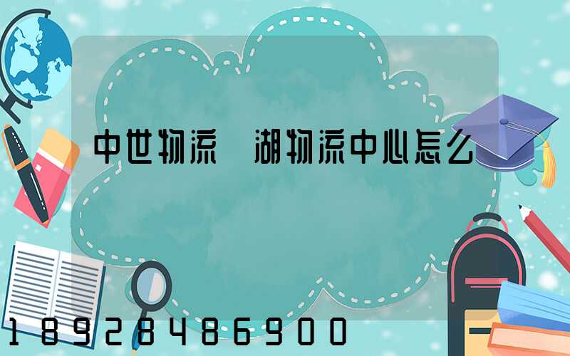 中世物流蕪湖物流中心怎么樣