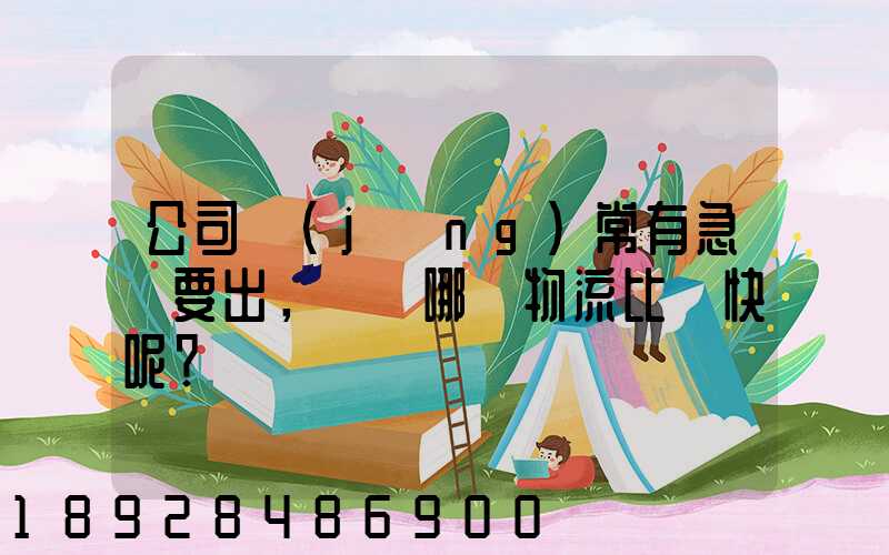 公司經(jīng)常有急貨要出，請問哪個物流比較快呢？