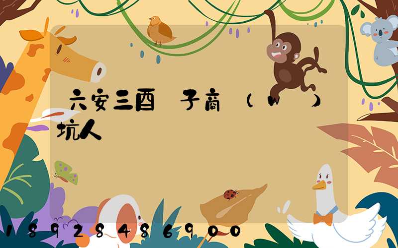 六安三酉電子商務(wù)坑人嗎