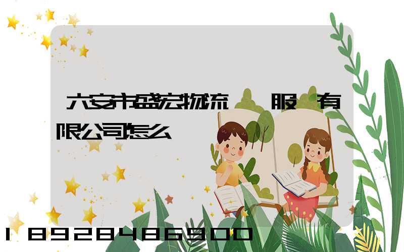 六安市盛宏物流運輸服務有限公司怎么樣