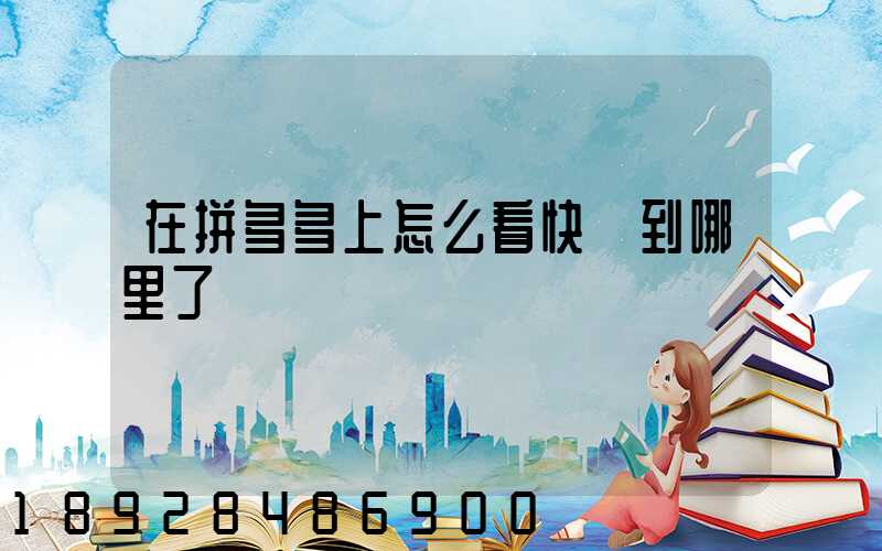 在拼多多上怎么看快遞到哪里了