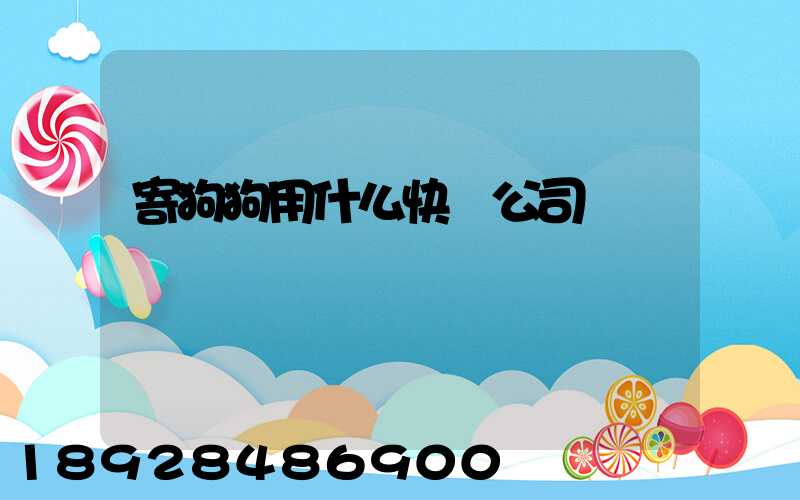 寄狗狗用什么快遞公司