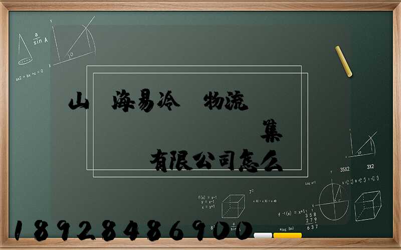山東海易冷鏈物流倉(cāng)儲(chǔ)集團(tuán)有限公司怎么樣