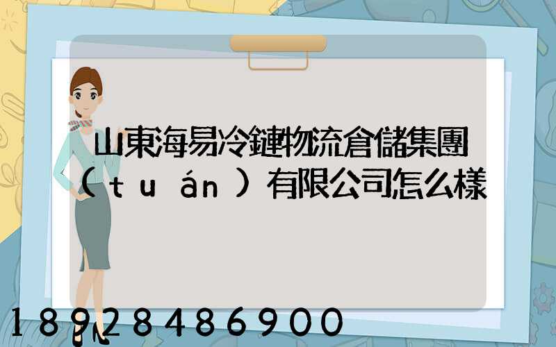 山東海易冷鏈物流倉儲集團(tuán)有限公司怎么樣