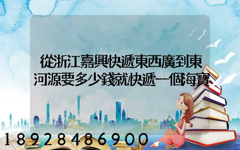 從浙江嘉興快遞東西廣到東河源要多少錢就快遞一個海寶