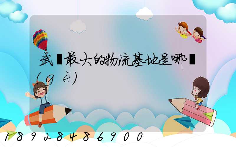 武漢最大的物流基地是哪個(gè)