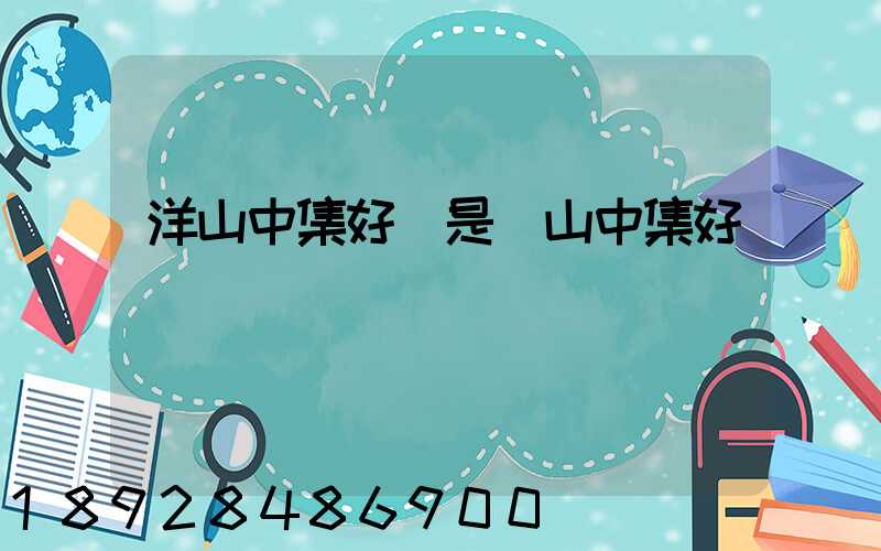 洋山中集好還是寶山中集好