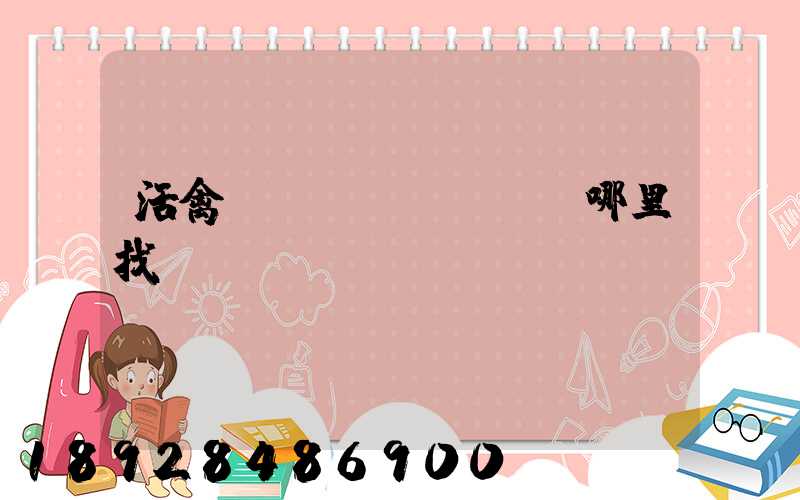 活禽運(yùn)輸車哪里找