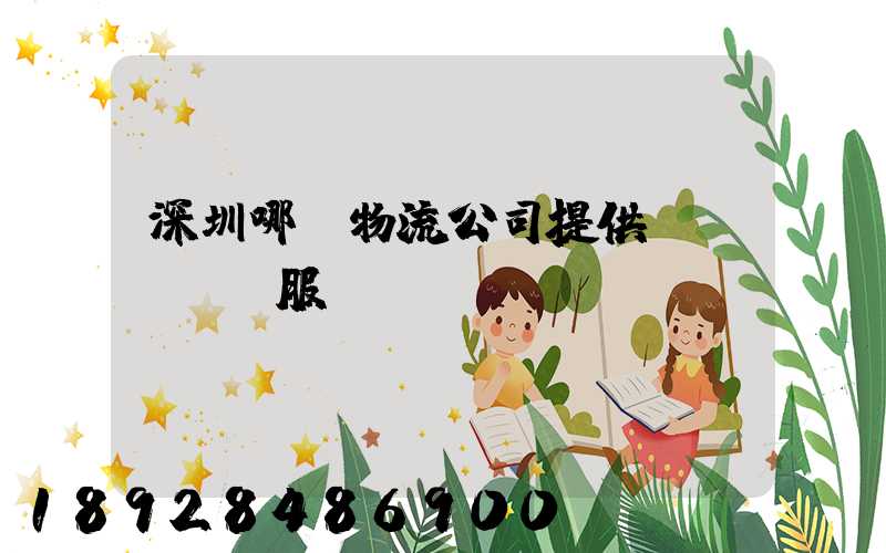 深圳哪個物流公司提供氣墊車運輸服務