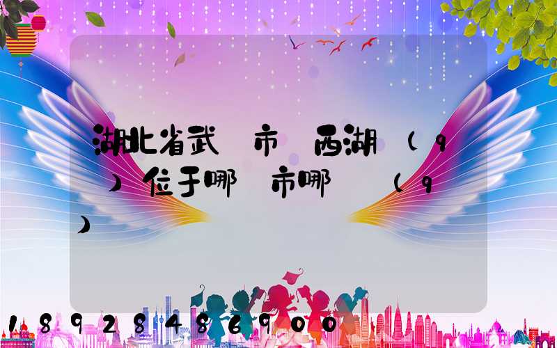 湖北省武漢市東西湖區(qū)位于哪個市哪個區(qū)