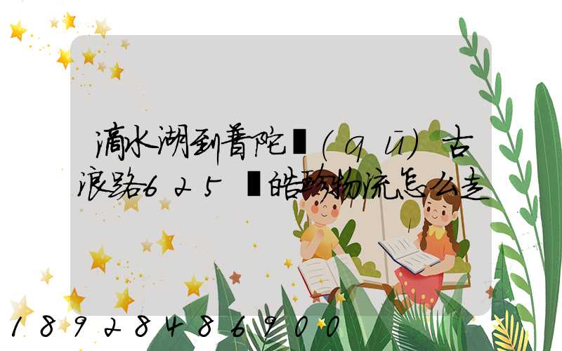 滴水湖到普陀區(qū)古浪路625號皓珍物流怎么走