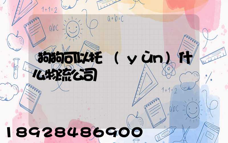 狗狗可以托運(yùn)什么物流公司