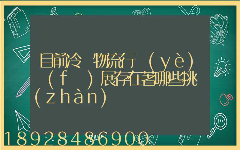 目前冷鏈物流行業(yè)發(fā)展存在著哪些挑戰(zhàn)