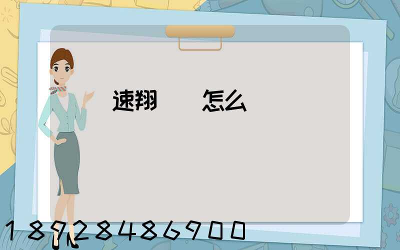 紹興速翔車隊怎么樣