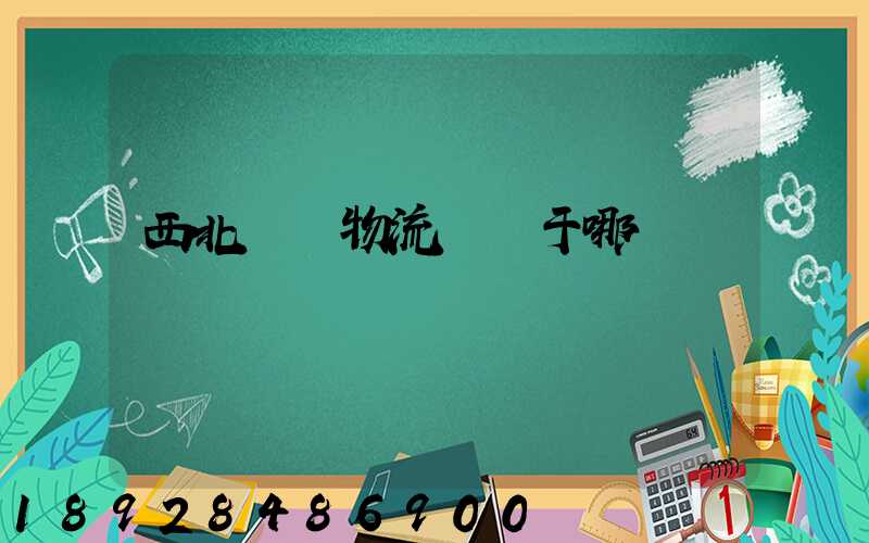 西北國際物流園屬于哪個區