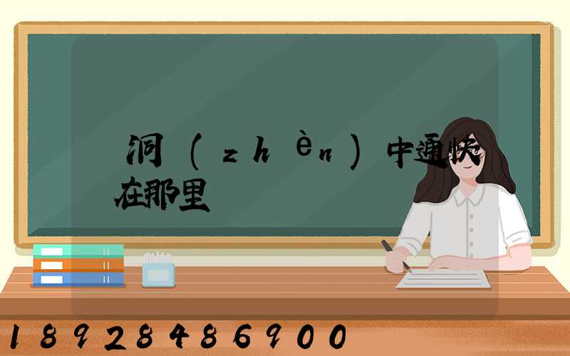 詩洞鎮(zhèn)中通快遞在那里