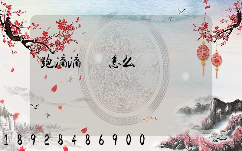 跑滴滴貨運怎么樣