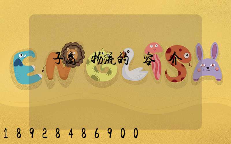 電子商務物流的內容簡介