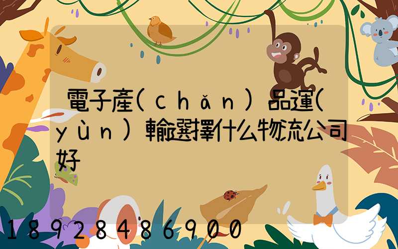 電子產(chǎn)品運(yùn)輸選擇什么物流公司好