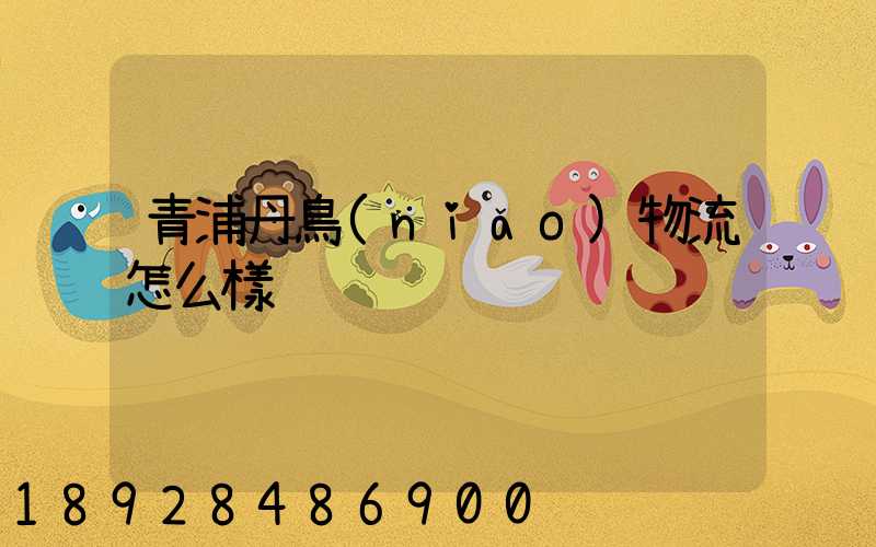 青浦丹鳥(niǎo)物流怎么樣