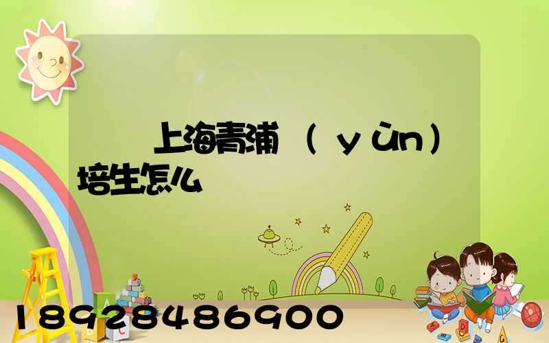 順豐上海青浦運(yùn)培生怎么樣